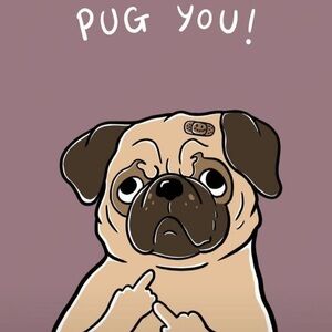 Meet your Posher, Frankie